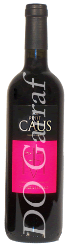 Petit Caus - Can Ràfols dels Caus petit-caus-foto-nostra.gif