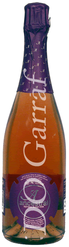 Ancestral Garnatxa Sumoll - Vega de Ribes ancestral garnatxa sumoll 2008