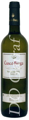 cusco berga muscat alexandria 2009