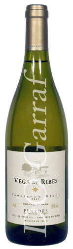 Sauvignon - Vega de Ribes vega de ribes sauvignon blanc 2007